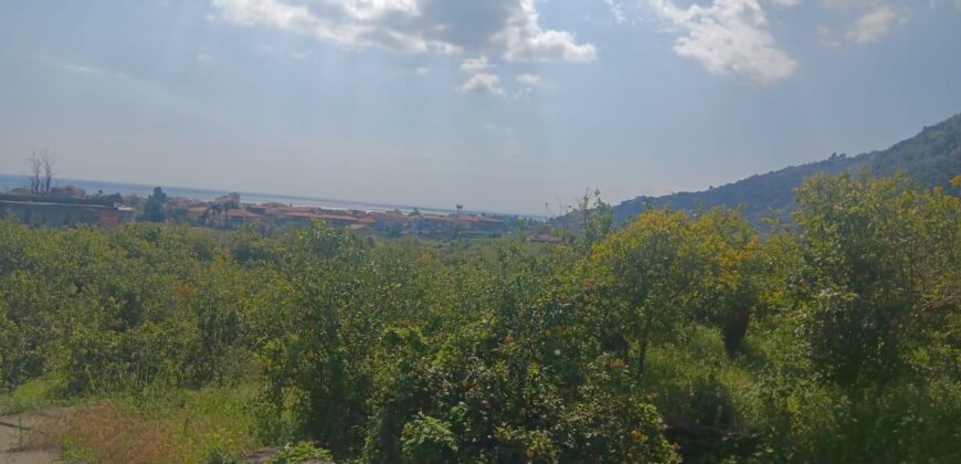 ACIREALE ZONA MORTARA RUDERE