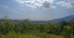 ACIREALE ZONA MORTARA RUDERE