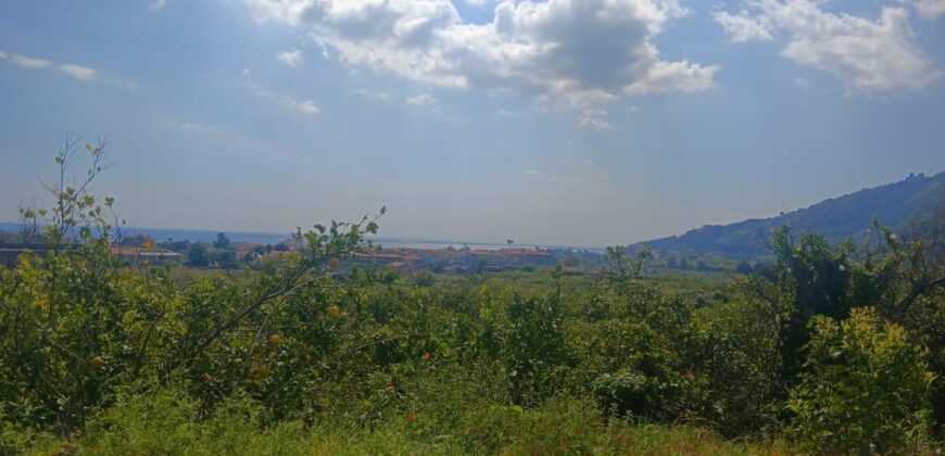 ACIREALE ZONA MORTARA RUDERE