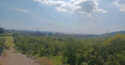 ACIREALE ZONA MORTARA RUDERE