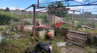 CASA SI PAESE CON TERRENO