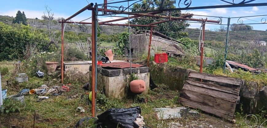 CASA SI PAESE CON TERRENO