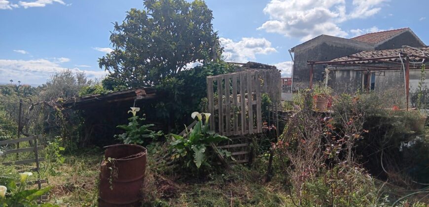 CASA SI PAESE CON TERRENO