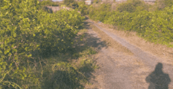 Acireale – Frazione S.M. Ammalati