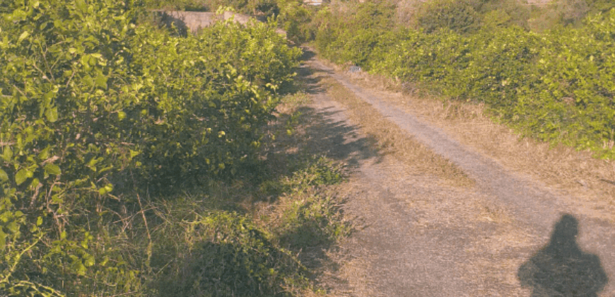 Acireale – Frazione S.M. Ammalati