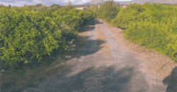 Acireale – Frazione S.M. Ammalati