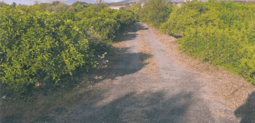 Acireale – Frazione S.M. Ammalati