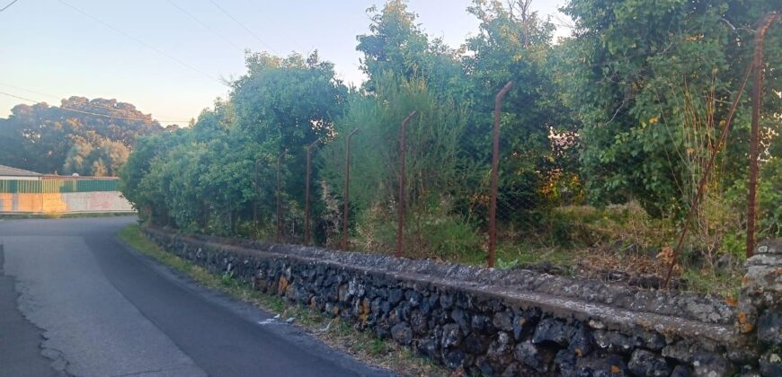 Terreno agricolo di 5.000 mq fronte strada – Acireale (Frazione Piano d’Api)