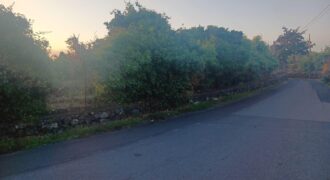 Terreno agricolo di 5.000 mq fronte strada – Acireale (Frazione Piano d’Api)