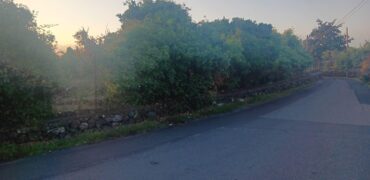 Terreno agricolo di 5.000 mq fronte strada – Acireale (Frazione Piano d’Api)